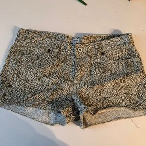 Madewell size 28 brown polka dot shorts